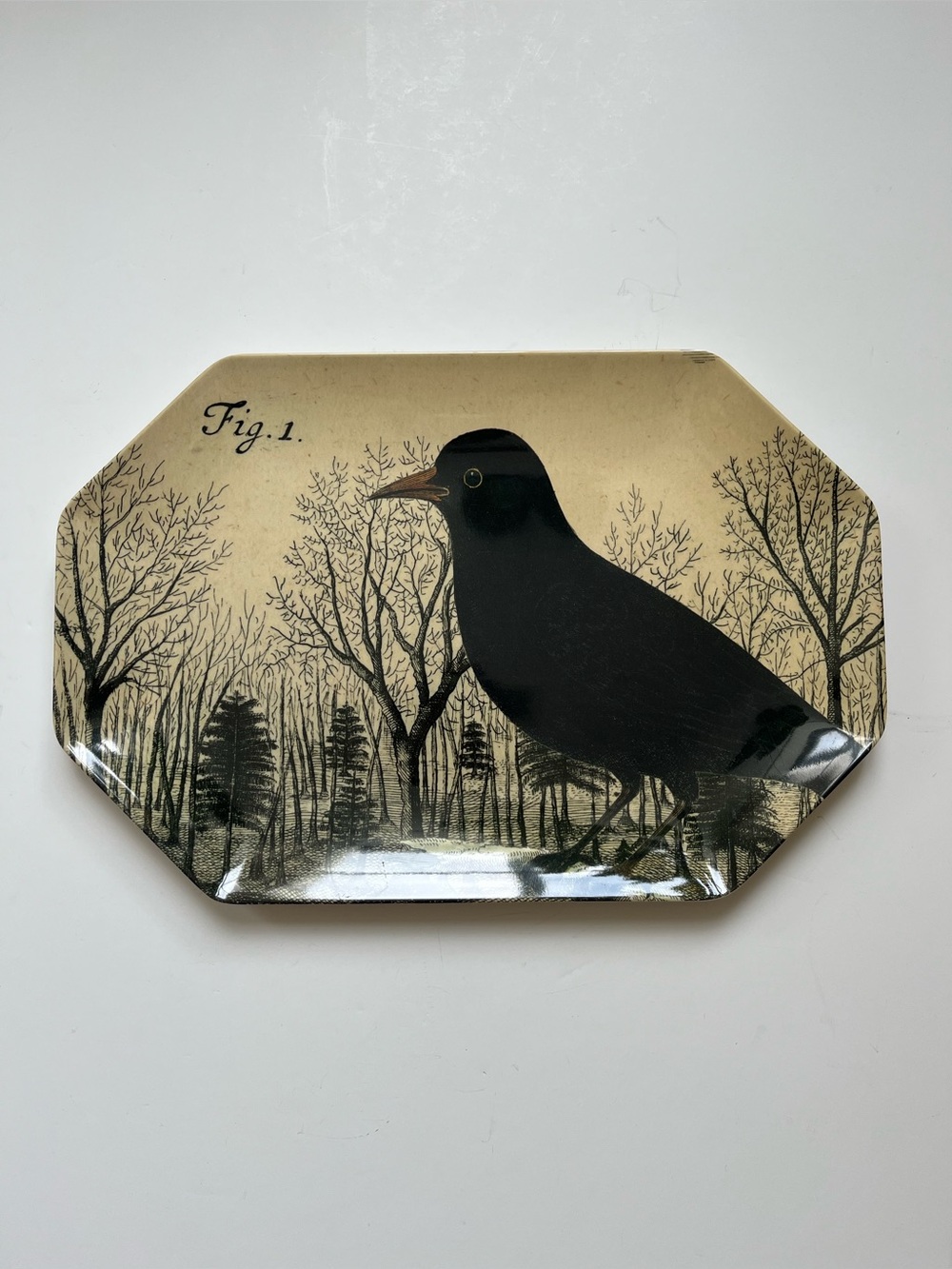 John Derian for Target Large Octagon Melamine Tray Platter with a Bird Crow